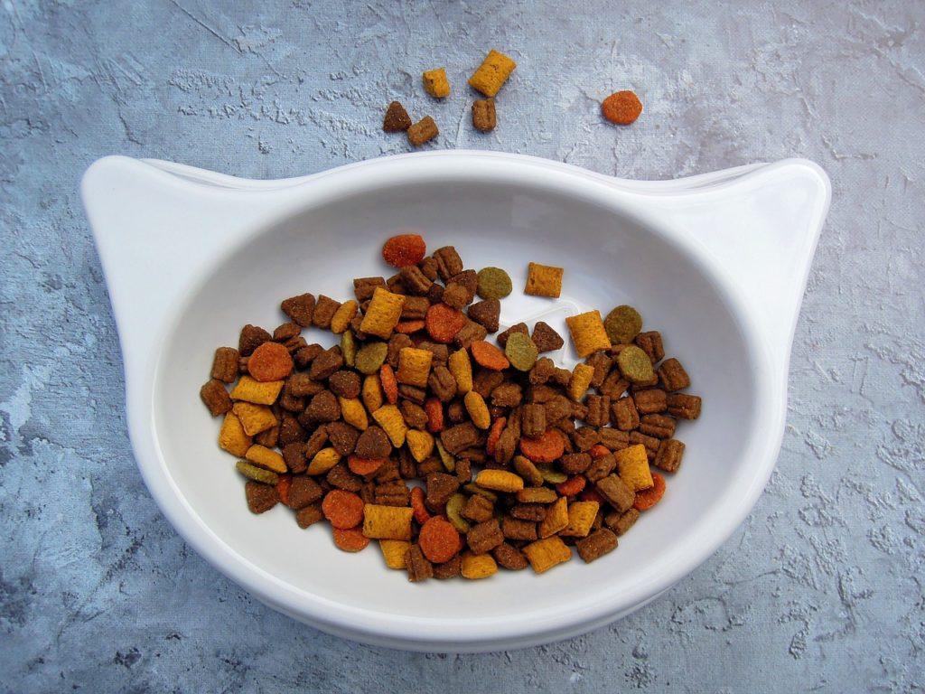 cat plate
